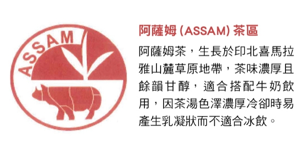 Alt Image Text