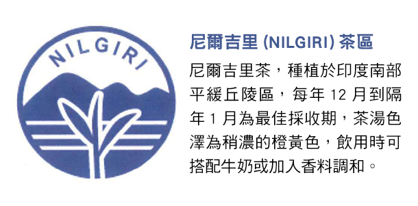 Alt Image Text