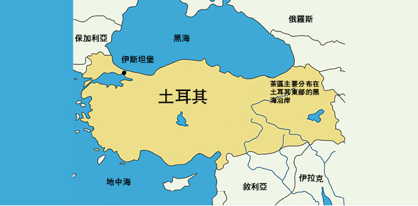 Alt Image Text