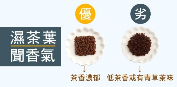 Alt Image Text
