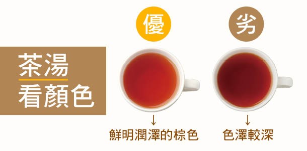 Alt Image Text