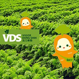 VDS活力東勢 VDS活力東勢