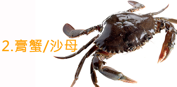 Alt Image Text