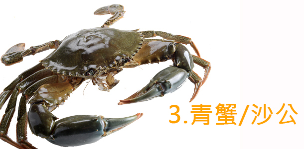 Alt Image Text