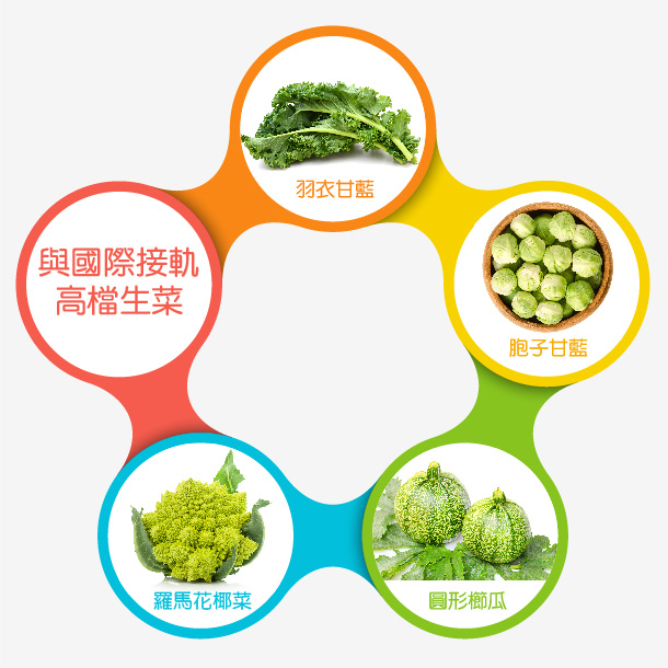 Alt Image Text