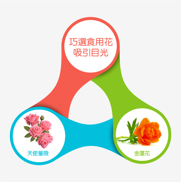 Alt Image Text