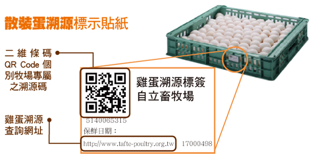 Alt Image Text
