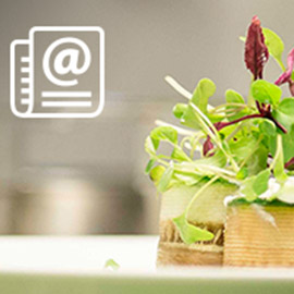 Sign up to our newsletter